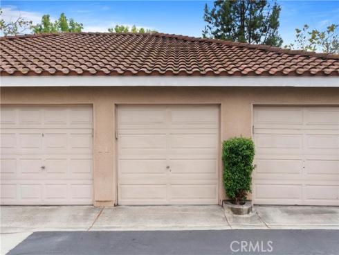 19  Cinnamon Teal  , Aliso Viejo, CA