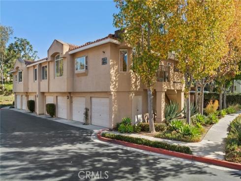 3  Cinnamon Teal  , Aliso Viejo, CA