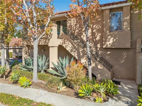 3  Cinnamon Teal  , Aliso Viejo, CA