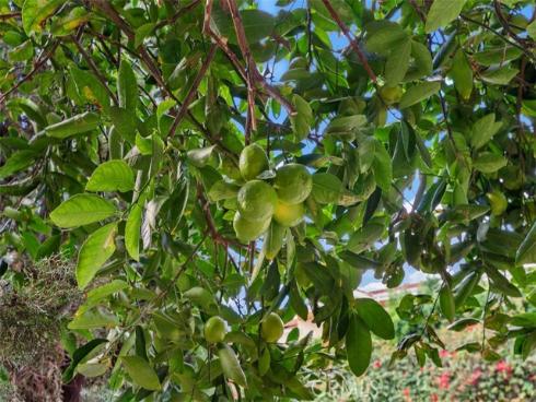 37  Meadowbrook  , Aliso Viejo, CA