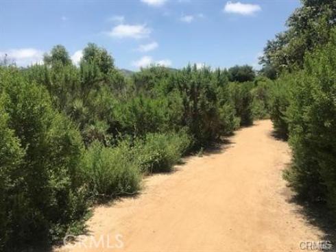 46  Conch Reef  , Aliso Viejo, CA