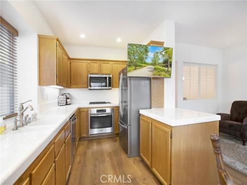 27  Surfbird  , Aliso Viejo, CA