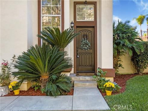 27  Surfbird  , Aliso Viejo, CA