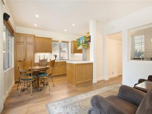 27  Surfbird  , Aliso Viejo, CA