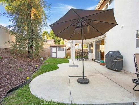 27  Surfbird  , Aliso Viejo, CA