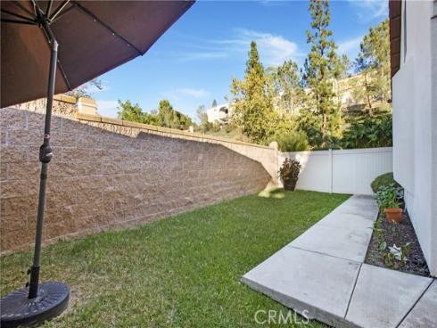 27  Surfbird  , Aliso Viejo, CA