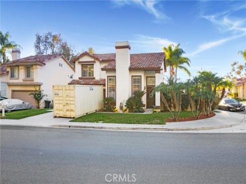 27  Surfbird  , Aliso Viejo, CA