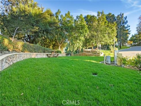 27  Surfbird  , Aliso Viejo, CA