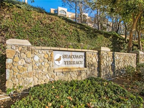 27  Surfbird  , Aliso Viejo, CA