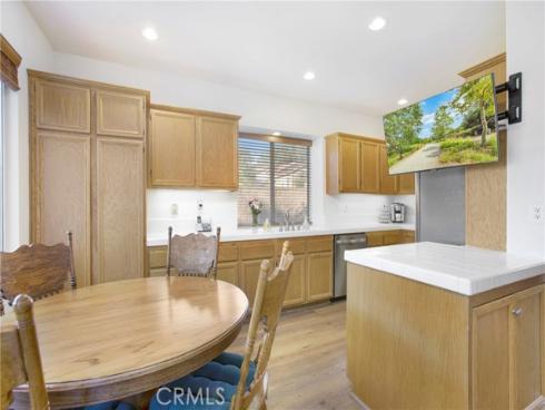 27  Surfbird  , Aliso Viejo, CA