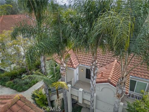 98  Cinnamon Teal  , Aliso Viejo, CA