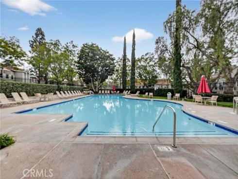 98  Cinnamon Teal  , Aliso Viejo, CA