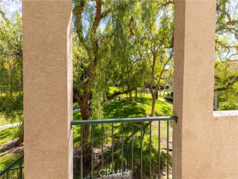 74  Cinnamon Teal  , Aliso Viejo, CA