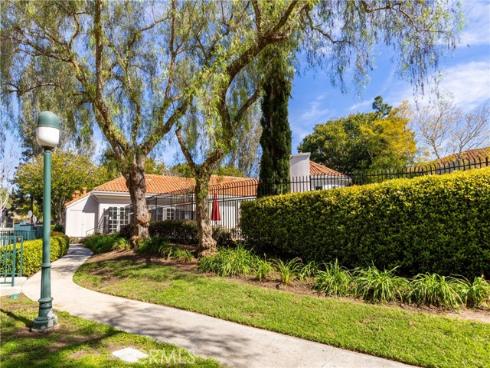 74  Cinnamon Teal  , Aliso Viejo, CA