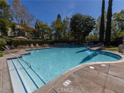 74  Cinnamon Teal  , Aliso Viejo, CA