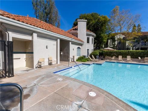 74  Cinnamon Teal  , Aliso Viejo, CA