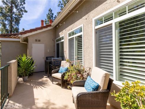 74  Cinnamon Teal  , Aliso Viejo, CA