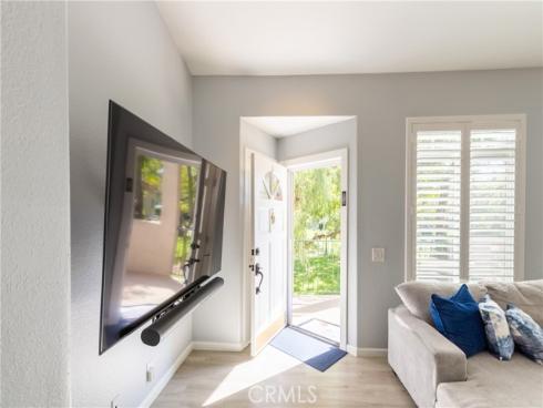 74  Cinnamon Teal  , Aliso Viejo, CA