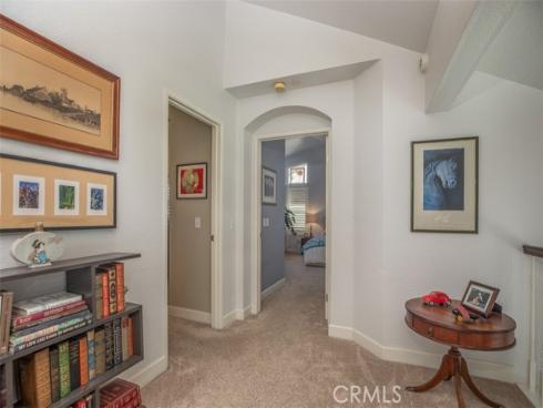 27  Royal Tern  , Aliso Viejo, CA