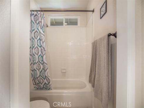 27  Royal Tern  , Aliso Viejo, CA