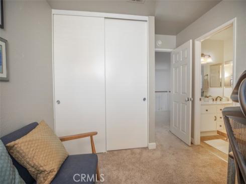 27  Royal Tern  , Aliso Viejo, CA