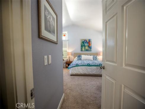 27  Royal Tern  , Aliso Viejo, CA