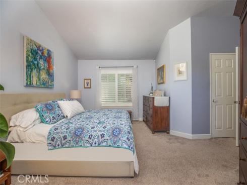 27  Royal Tern  , Aliso Viejo, CA