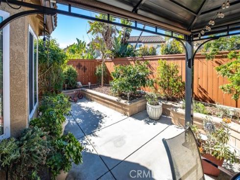 27  Royal Tern  , Aliso Viejo, CA