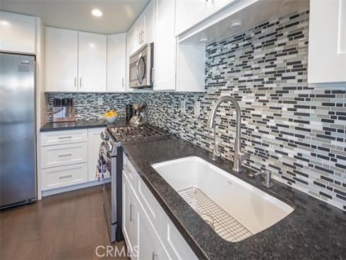 27  Royal Tern  , Aliso Viejo, CA