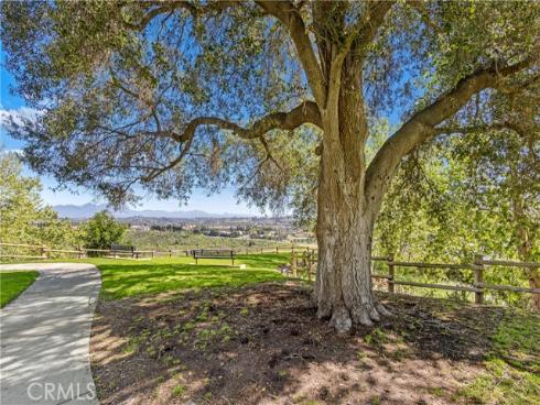 2  Barcelona  , Aliso Viejo, CA