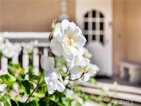 51  Picket   Lane, Aliso Viejo, CA