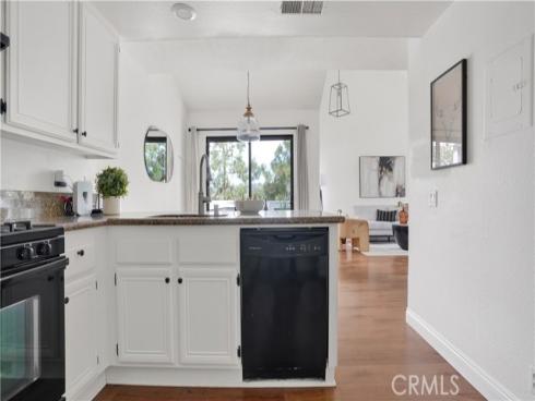 25  Oak Spring   Lane, Aliso Viejo, CA