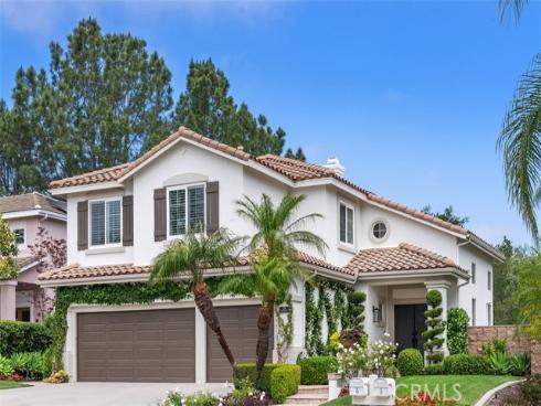 29 Raven Lane , Aliso Viejo, CA