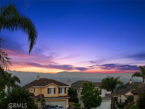 29  Raven Lane  , Aliso Viejo, CA