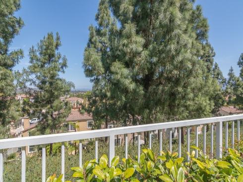 29 Vista Del Canon , Aliso Viejo, CA