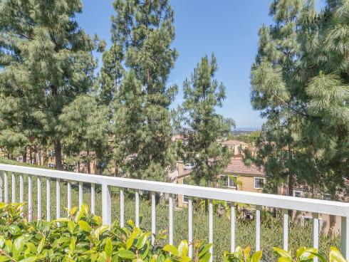 29 Vista Del Canon , Aliso Viejo, CA
