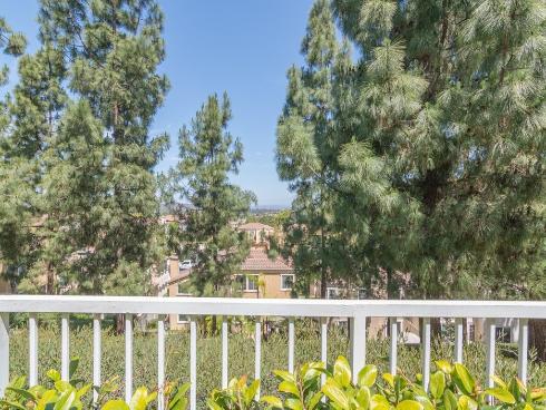 29 Vista Del Canon , Aliso Viejo, CA