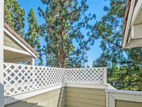 40  Hollyhock  , Aliso Viejo, CA