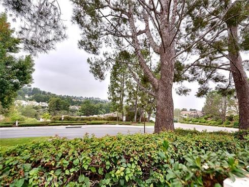 904 S Country Glen   Way, Anaheim Hills, CA