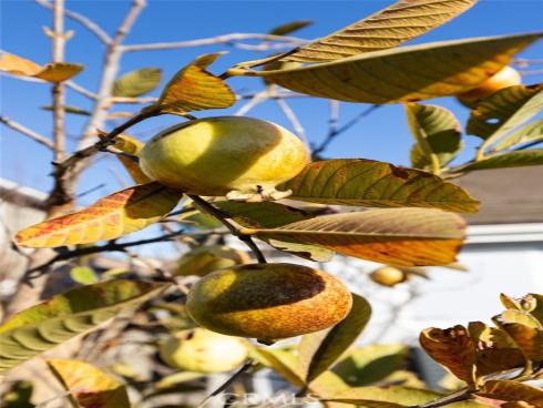 399 S Smokeridge Terrace , Anaheim Hills, CA