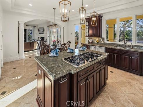 481 S Mohler   Drive, Anaheim Hills, CA