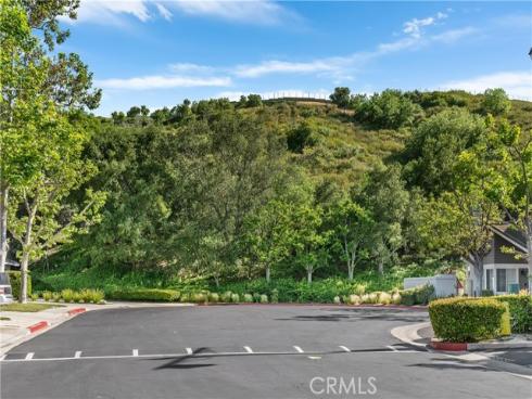 830 S Amber Lane, Anaheim Hills, CA