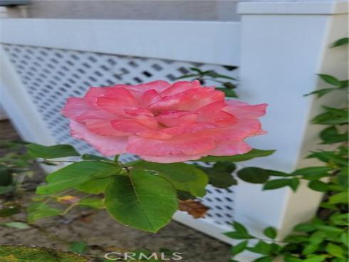 1085 S Sundance Drive  , Anaheim Hills, CA