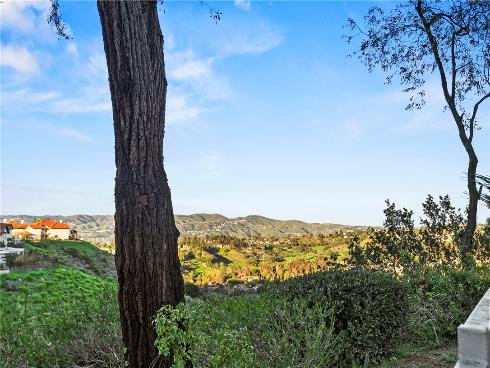 825 S Jacaranda Way, Anaheim Hills, CA