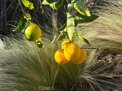 415 S Brook   Lane, Anaheim Hills, CA