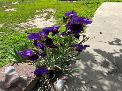 612 W Santa Ana  , Anaheim, CA