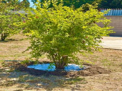 1335 S Hickory Street, Anaheim, CA