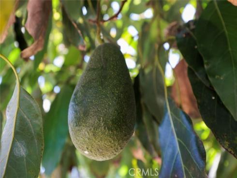 837 S Clementine Street, Anaheim, CA