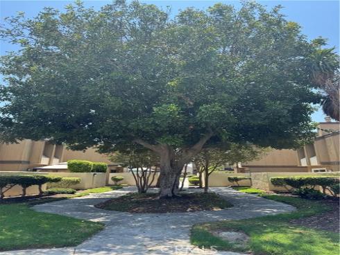 1318 S Walnut 2607 Street, Anaheim, CA