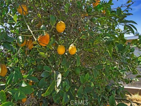 1223 S Dale   Avenue, Anaheim, CA